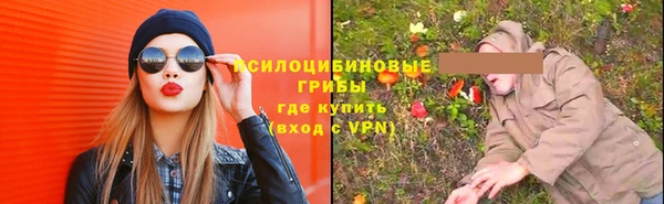 ECSTASY Белокуриха