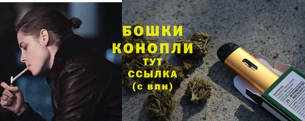 ECSTASY Белокуриха