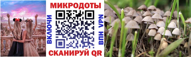 хочу   Маркс  Псилоцибиновые грибы MAGIC MUSHROOMS 