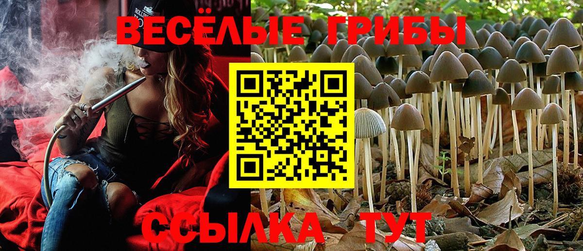 Галлюциногенные грибы Magic Shrooms Маркс