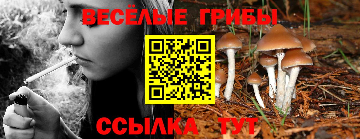 Маркс  Галлюциногенные грибы Cubensis  Вход с VPN 